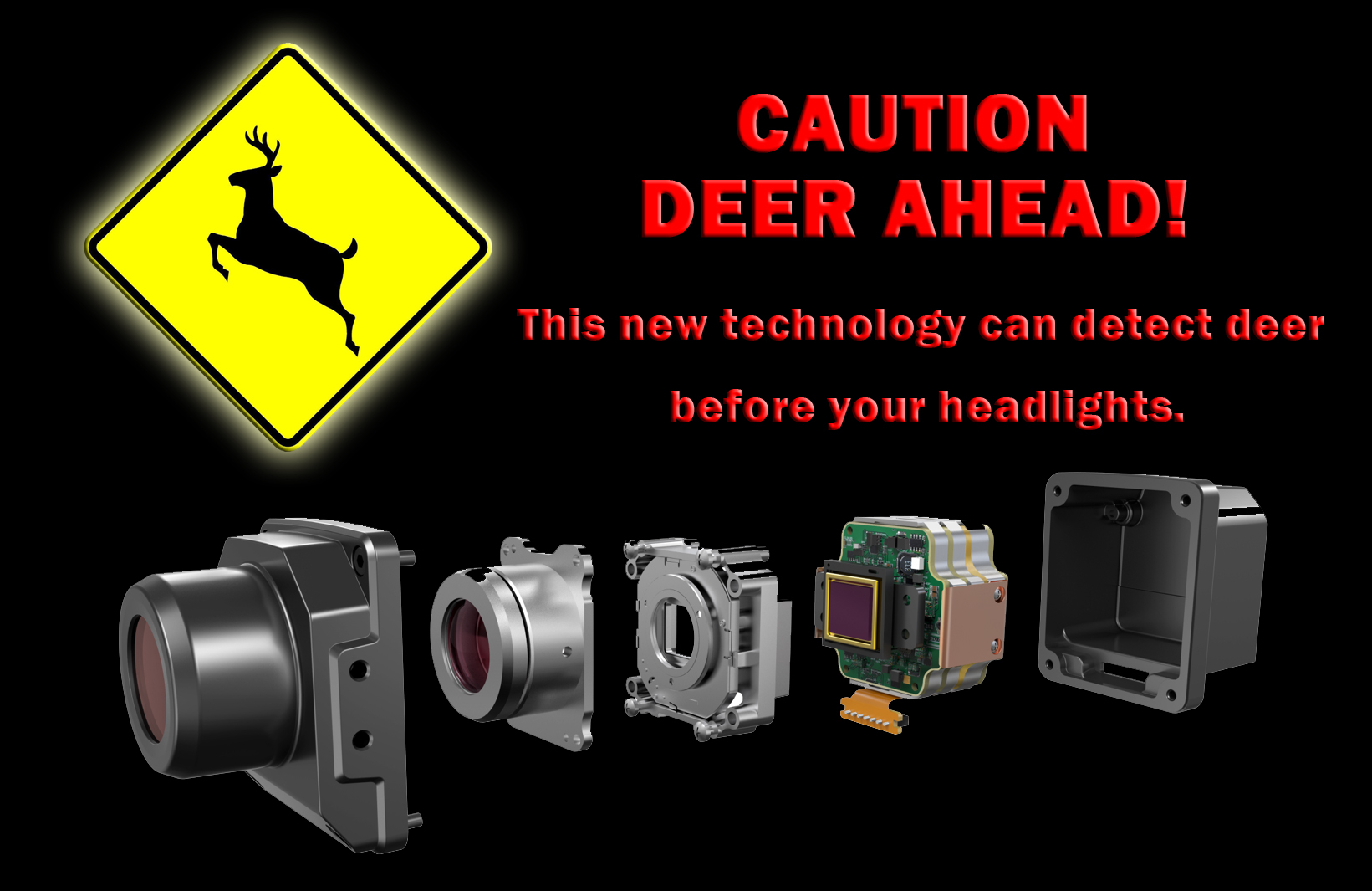 How to Avoid Deer Accidents speedir